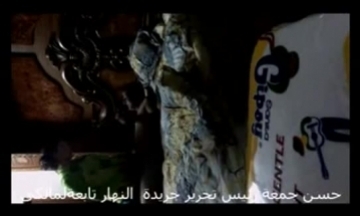 خولات مصر تحميل فيديو